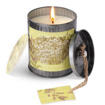 Vela perfumada CUKIY 240mL Soy 50H Burn Lemon Verbena