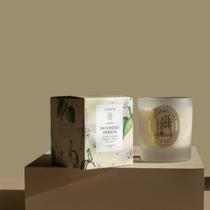 Vela Perfumada LEnvie para Aromatizar Ambientes Vela Perfumada LEnvie para Aromatizar Ambientes