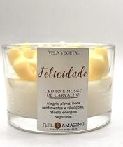 Vela Perfumada Premium Best Wishes Coleção Cera Vegetal 100g Vela Perfumada Premium Best Wishes Coleção Cera Vegetal 100g
