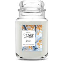 Vela Yankee Candle Silver Birch Perfumada Fall 650 ml