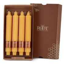Velas de jantar: Root, collenettes gregas sem perfume, 23 cm, 4 unidades