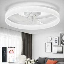 Ventilador de teto DINGLILIGHTING 20" Flush Mount LED Dimmable