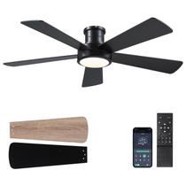 Ventilador de teto Hounberi 52" Low Profile Light Dual Blades