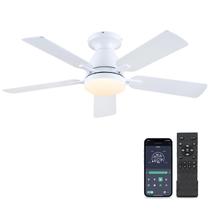 Ventilador de teto Mpayel 117cm Low Profile Light Remote App Ventilador de teto Mpayel 117cm Low Profile Light Remote App