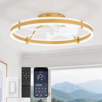 Ventilador de Teto ZMISHIBO 24" com Luz LED, Controle Remoto, 6 Velocidades, Dourado Ventilador de Teto ZMISHIBO 24" com Luz LED, Controle Remoto, 6 Velocidades, Dourado