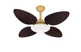 Ventilador Teto Dourado Pétalo 4 Pàs Potente Ventax 220V