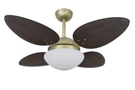 Ventilador Teto Volare Ouro Velho Pétalo Palmae Tabaco 127V