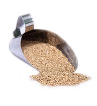 Vermiculita expandida tipo fino 100 litros