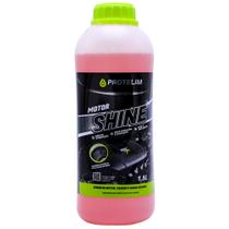 Verniz de Motor Chassis e Caixas de Roda Motor Shine 1,5L Protelim