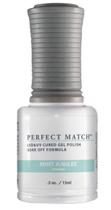 Verniz em gel LECHAT Perfect Match Mint Jubilee 15 mL (PMS116)