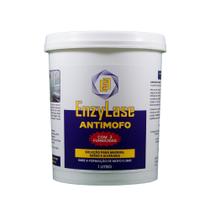 Verniz Enzylase Antimofo 1L Preventivo P Madeira Gesso Alvenaria
