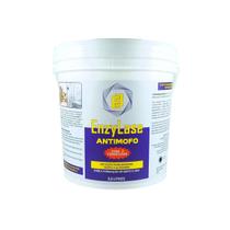 Verniz preventivo Enzylase Antimofo acrilico aquoso 3,6L antifungico para madeira gesso alvenaria