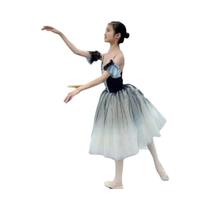 Vestido de Ballet Tutu Longo em Veludo - Adulto e Infantil - Ideal para Performances Vestido de Ballet Tutu Longo em Veludo - Adulto e Infantil - Ideal para Performances