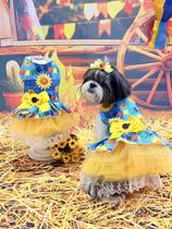 Vestido Festa Junina Menina Girassol para cachorro e gato Vestido Festa Junina Menina Girassol para cachorro e gato