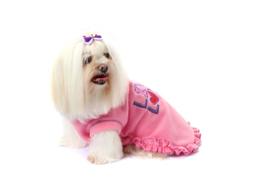 Vestido Live Love para Cachorro e Gato Pet
