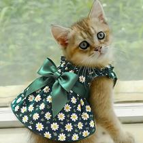 Vestido Sem Mangas Para Gatos E Cães Com Estampa De Flor Ciano, Estilo Slim, Roupas De Verão, Saia Vestido Sem Mangas Para Gatos E Cães Com Estampa De Flor Ciano, Estilo Slim, Roupas De Verão, Saia