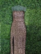 Vestudo paite com fenda Vestudo paite com fenda