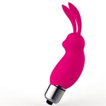 Vibrador Feminino Bullet Coelho Mini Cápsula Rabbit Potente Portátil e Discreto