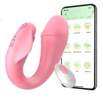 Vibrador Feminino Casal Controle Remoto Calcinha Controle a Distância Egg Sem fio Clitóris e Ponto G - Masturbador Mulhe