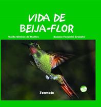 Vida de beija-flor Vida de beija-flor
