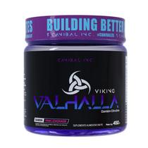 Viking Valhalla Pré Treino 450g - Canibal Inc