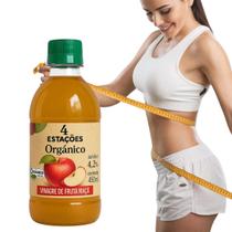 Vinagre de Maçã Orgânico 4,2 acidez 450ml 4 Estações