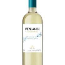 Vinho Argentino Benjamin Branco Suave 750ml - Benjamin Nieto
