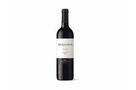 Vinho Argentino Benjamin Malbec 750ml