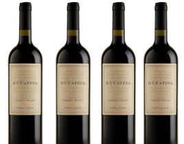Vinho Argentino Dv Malbec Malbec 4 Unidades