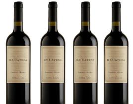 Vinho Argentino Dv Malbec Malbec 4 Unidades