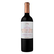 Vinho Argentino Tinto Benegas Lynch Cabernet Franc 750 ml - Vinho Tinto Premium
