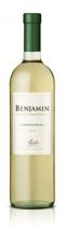 Vinho Benjamin Nieto Chardonnay 750ml