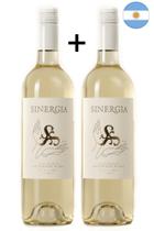 Vinho Branco Argentino Sauvignon Blanc 2021 - Kit 2 garrafas