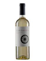 Vinho Branco Chileno Cantagua Clássico Sauvignon Blanc