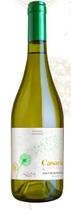 Vinho Branco Chileno Casaria Sauvignon Blanc