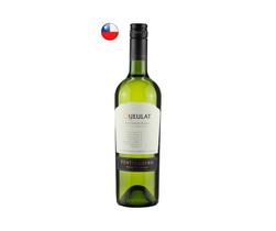 Vinho Branco Gran Reserva Sauvignon Blanc Queulat