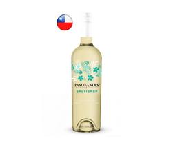 Vinho Branco Paso de los Andes Sauv. Blanc 750 ml