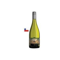 Vinho Branco Seco Go Up Sauvignon Blanc Reserva 750ml CHILE