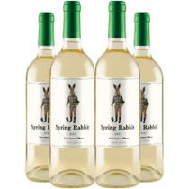 Vinho Branco Spring Rabbit Sauvignon Blanc 750ml Kit 4 Garrafas 750ml Vinho Branco Spring Rabbit Sauvignon Blanc 750ml Kit 4 Garrafas 750ml