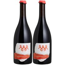 Vinho Brasileiro Tinto Pinot Noir Seco Otto 750ml Kit 2un