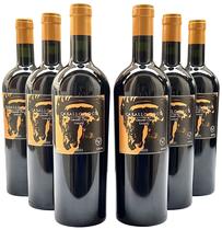 Vinho Caballo Loco Gran Cru Limarí Kit Com 6 Garrafas Oferta