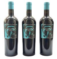 Vinho Caballo Loco Grand Cru Pirque Kit Com 3 Garrafas Oferta
