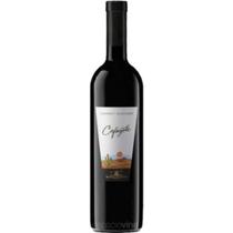 vinho Cabernet Sauvignon - argentino