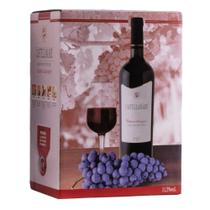 Vinho Cabernet Sauvignon Bag-in-Box 3L Castellamare