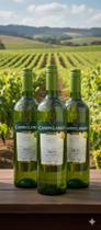 Vinho Campo Largo Branco Seco - Kit 3 Garrafas
