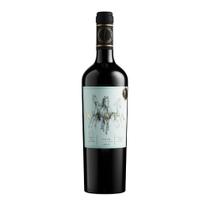 Vinho chileno kasta seleccion tinto syrah 750ml