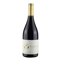 Vinho chileno pangea syrah 750ml tinto