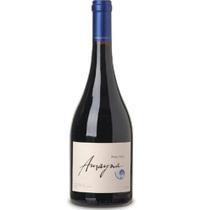 Vinho Chileno Pinot Noir AMAYNA 750ml