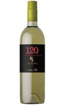 Vinho Chileno Sauvignon Blanc Independencia 120 Colleción