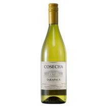 Vinho Chileno Tarapacá Cosecha Chardonnay 750ML